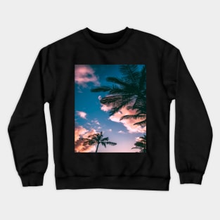 Green and brown coconut trees under clear blue sky Crewneck Sweatshirt
